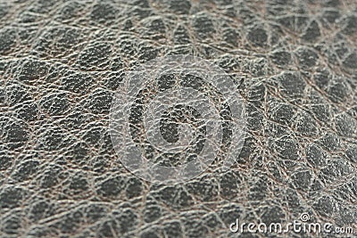 Alligator skin fabric Stock Photo