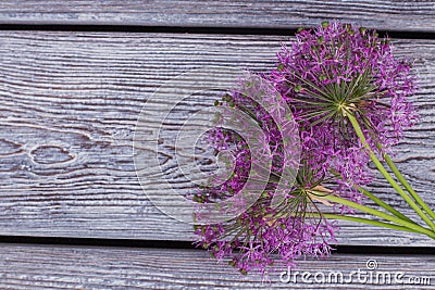 Allium flowers on vintage wooden background. Stock Photo