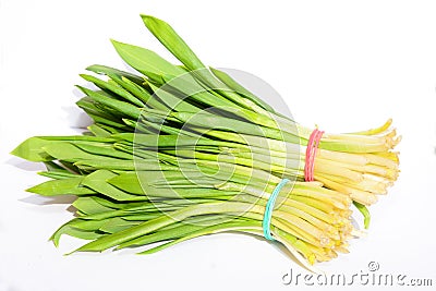 Allium ursinum â€“ known as ramsons, buckrams, wild garlic, broad-leaved garlic, wood garlic, bear leek, or bear`s garlic isolate Stock Photo