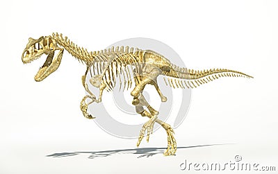 Allosaurus skeleton photo-realistic, scientifically correct. Stock Photo