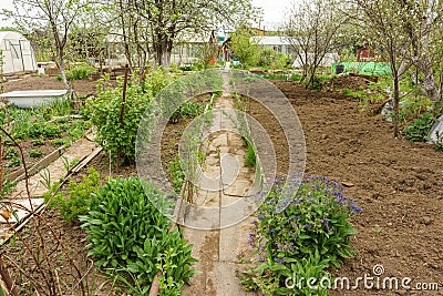 Allotment garden path Stock Photo