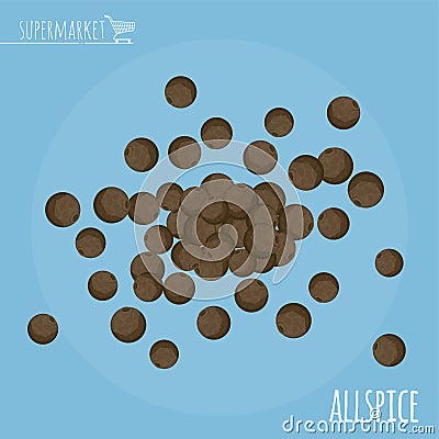 Allspice flat design vector icon Vector Illustration