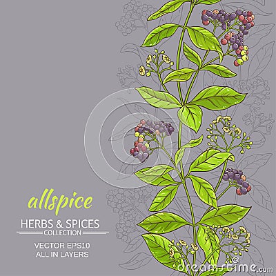 Allspice vector background Vector Illustration