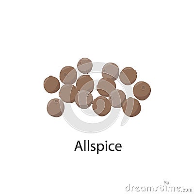 Allspice - vector illustration in flat design isolated on white background. Whole allspice berries vector icon. Vector Illustration
