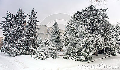 Almaty City. Editorial Stock Photo