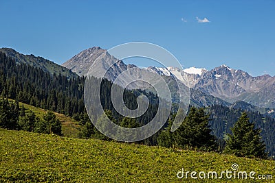 Almaty mountains landscape. Summer view of Kok Zhailau Stock Photo