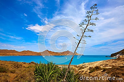 Almeria Playa los Genoveses beach Cabo de Gata Stock Photo