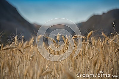 AlmerÃ­a Desert Stock Photo