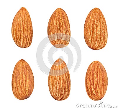 almond Stock Photo