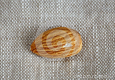 Almond kernel light brown Stock Photo