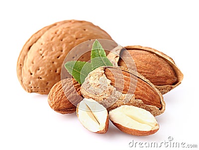 Almond kernel Stock Photo