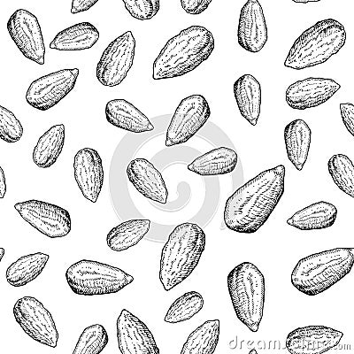 Almond nut vector seamless pattern. Hand drawn background. Food ingredient sketch. Vector Illustration