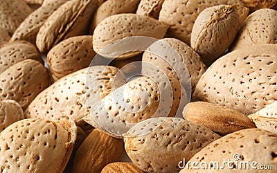 Almond nuts Stock Photo