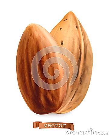 Almond nuts in shell and shelled. 3d realistic vector Vector Illustration