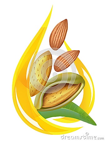 Almond oil. Stylized drop. Vector Illustration