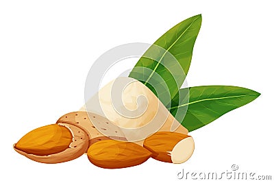 Almond powder, flour decorated with almond nuts in nutshell, leaves in cartoon style isolated on white background Vector Illustration