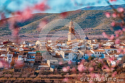 Almond tree blossom in countryside Alcublas Stock Photo