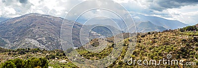 Almond trees in bloom near Trevelez, Granadan Alpujarra, Spain Stock Photo