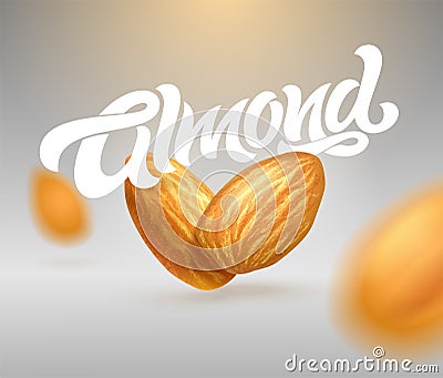 ALMOND typography with realistic illustration of almonds. Modern brush calligraphy. 3d illustration. Template for packaging design Cartoon Illustration