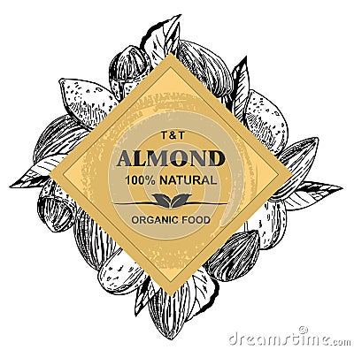 Almonds Hand drawn sketches vector in vintage style Stock Photo