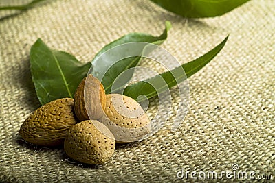 Almonds (kernel and leaves) Stock Photo