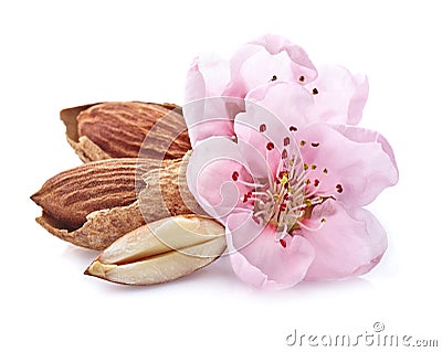 Almonds kernel with pink flowers Stock Photo