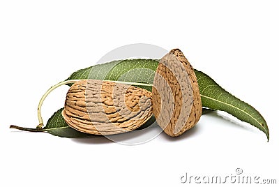 Almonds with leaves. Stock Photo