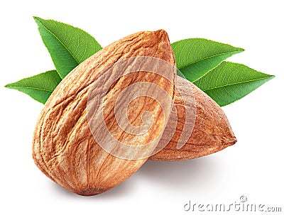 Almonds with leaves . Stock Photo