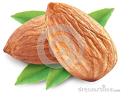 Almonds with leaves isolated. Stock Photo