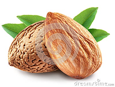 Almonds with leaves isolated. Stock Photo