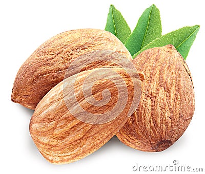 Almonds with leaves isolated. Stock Photo