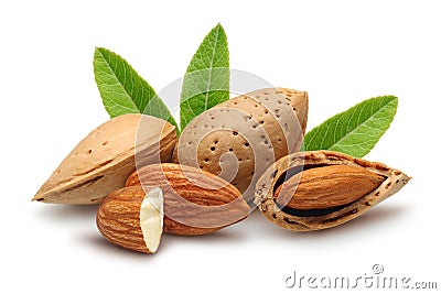 Almonds with leaves Stock Photo