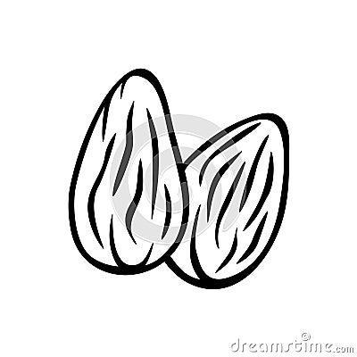 Almonds nuts isolated vector icon. Two almond nuts hand drawn illustration. Vector Illustration