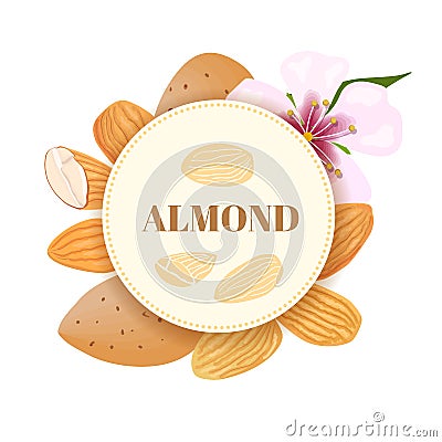 Almonds. nuts in skins and peeled with flower. round badge with text Vector Illustration