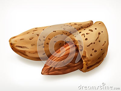 Almonds in shell, vector icon Vector Illustration