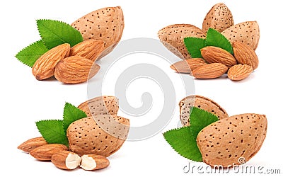 Almonds in their skins and peeled with leaf isolated on white background. Set or collection Stock Photo