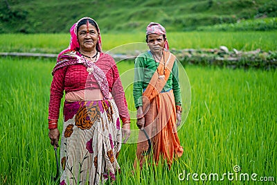 ALMORA, INDIA - SEPTEMBER 15, 2020: old indian woman farmers standing in working in the green fields, smiling and looking into the Editorial Stock Photo