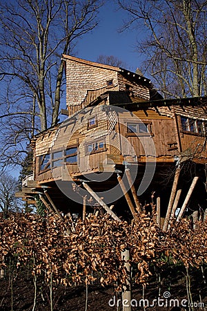 Alnwick Garden Treehouse Stock Photo