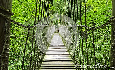 Alnwick wooden Treehouse, wooden and rope bridge, Alnwick Garden, in the English county of Northumberland Stock Photo