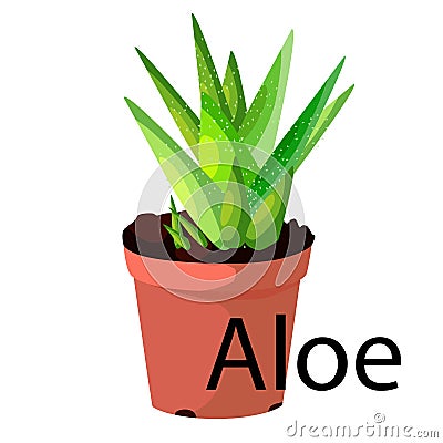 Aloe pot for flowers, with earth, pink, for seedlings, pots. Vector Illustration