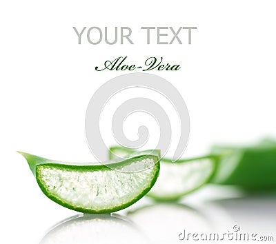 Aloe-Vera Stock Photo