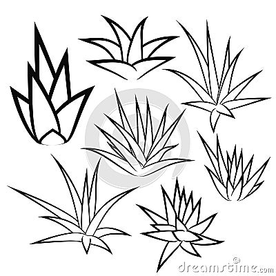 Aloe Vera, agave, bush, succulent plant, flower set isolated Vector Illustration