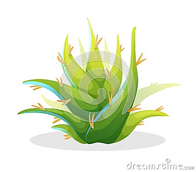 Aloe vera in cute cartoon style, mexican plant Vector Illustration