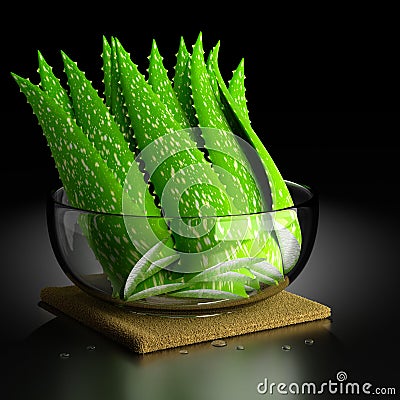 Aloe Vera. Stock Photo