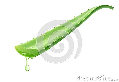 Aloe Vera gel dripping Stock Photo