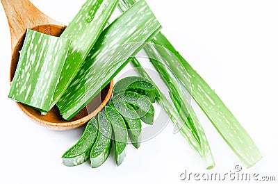 Aloe vera fresh leaf. Stock Photo