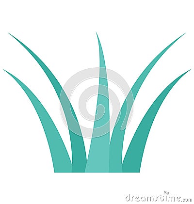 Aloe Vera, Grass Shrub Color Isolated Vector Icon Vector Illustration
