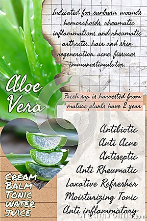 Aloe vera herbalist notebook page idea Stock Photo