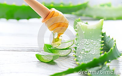 Aloe Vera with honey closeup on white wooden background. Sliced Aloevera natural organic renewal cosmetics Stock Photo