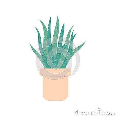 Aloe vera in pot. Houseplant for interior. Isolated home plant Vector Illustration